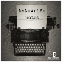 NaNoWriMo is over!